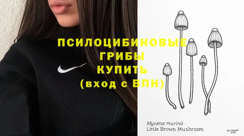 МЕГА как войти  Солигалич  Галлюциногенные грибы MAGIC MUSHROOMS 